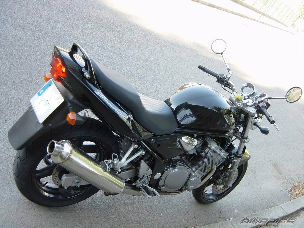 2001 SUZUKI BANDIT 600 | Picture 65101 motorcycle photo