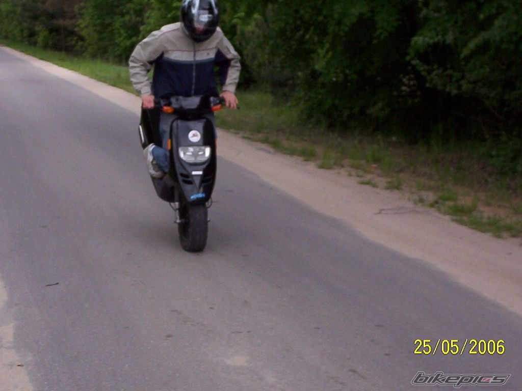 2006 PIAGGIO TPH 50 | Picture 651310 motorcycle photo