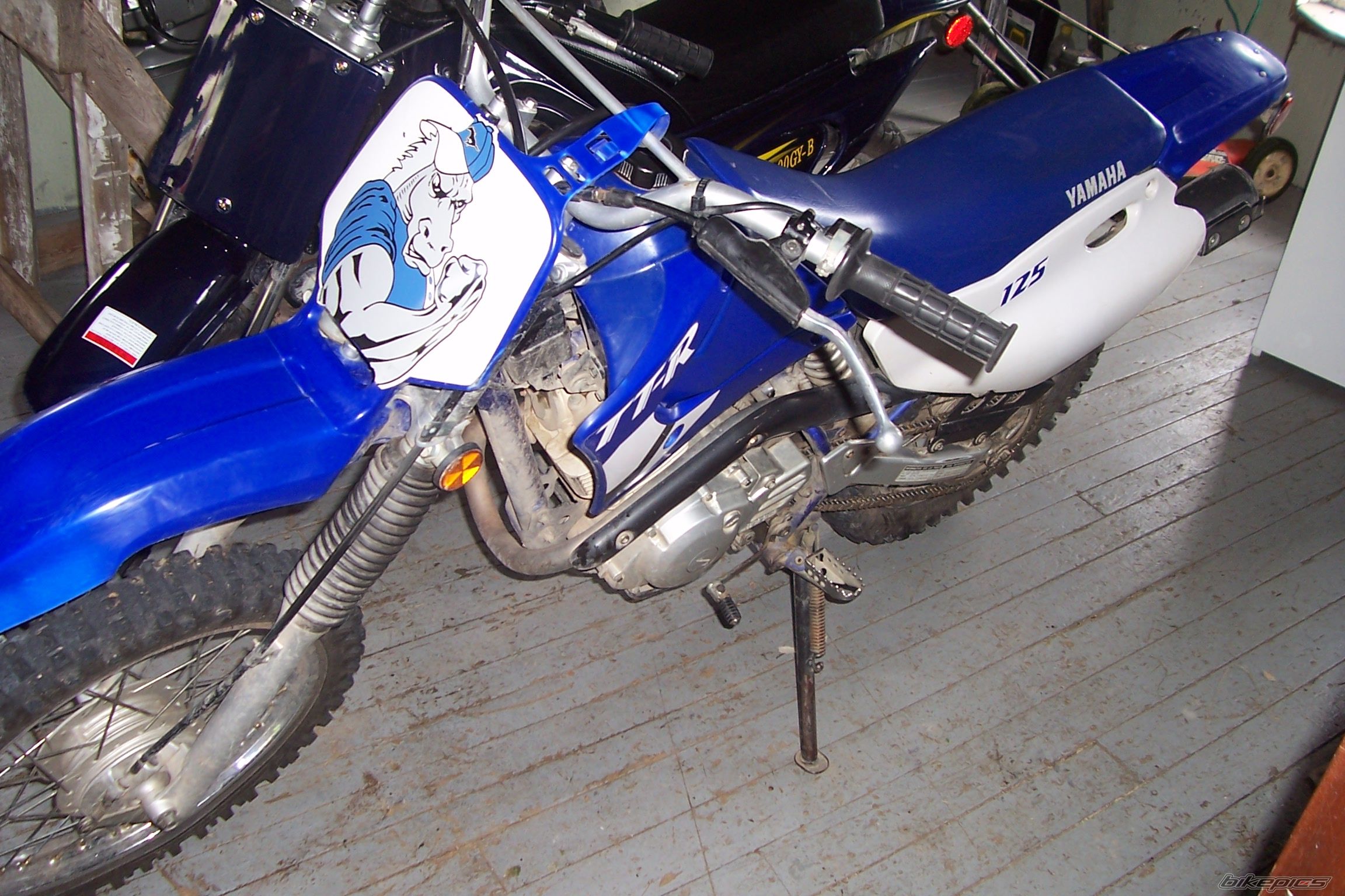 2001 YAMAHA TTR 125 | Picture 651574 motorcycle photo