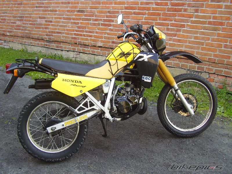 1989 HONDA MTX 125 | Picture 652666 motorcycle photo
