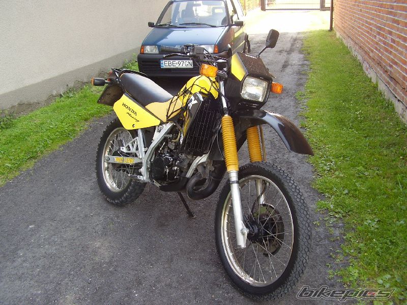 1989 HONDA MTX 125 | Picture 652678 motorcycle photo