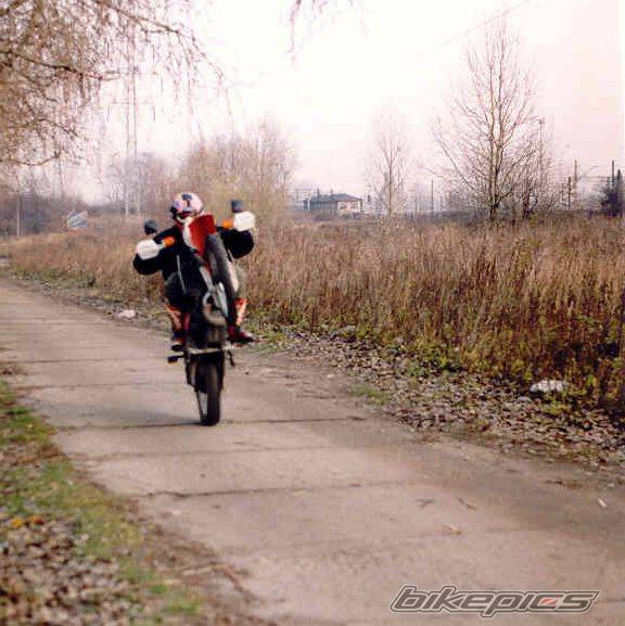 1987 HONDA MTX 125 | Picture 65285 motorcycle photo