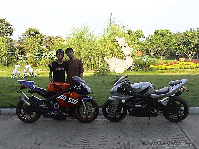2003 HONDA NSR 250 | Picture 65470 motorcycle photo