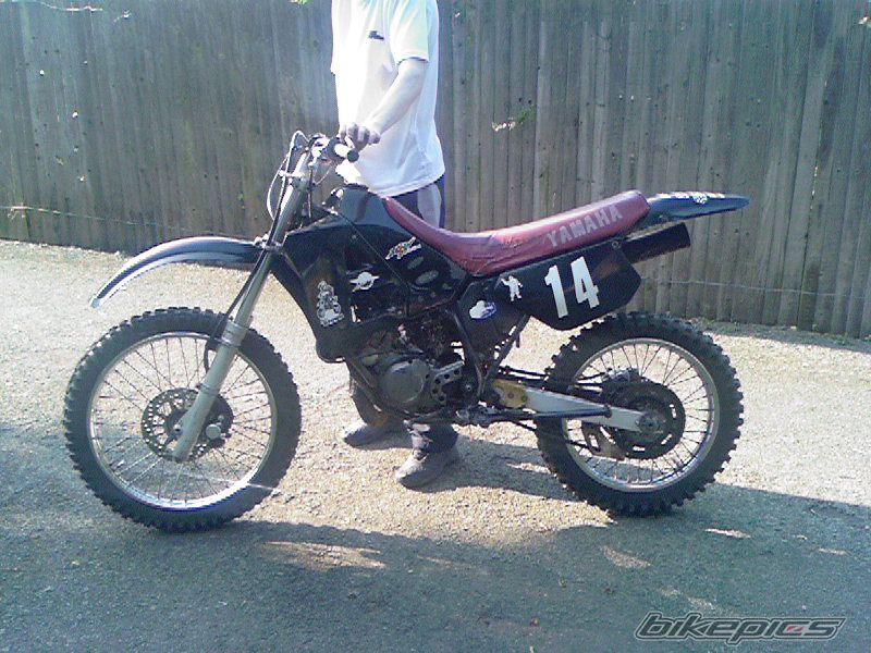 1995 YAMAHA DT 125 | Picture 654931 motorcycle photo