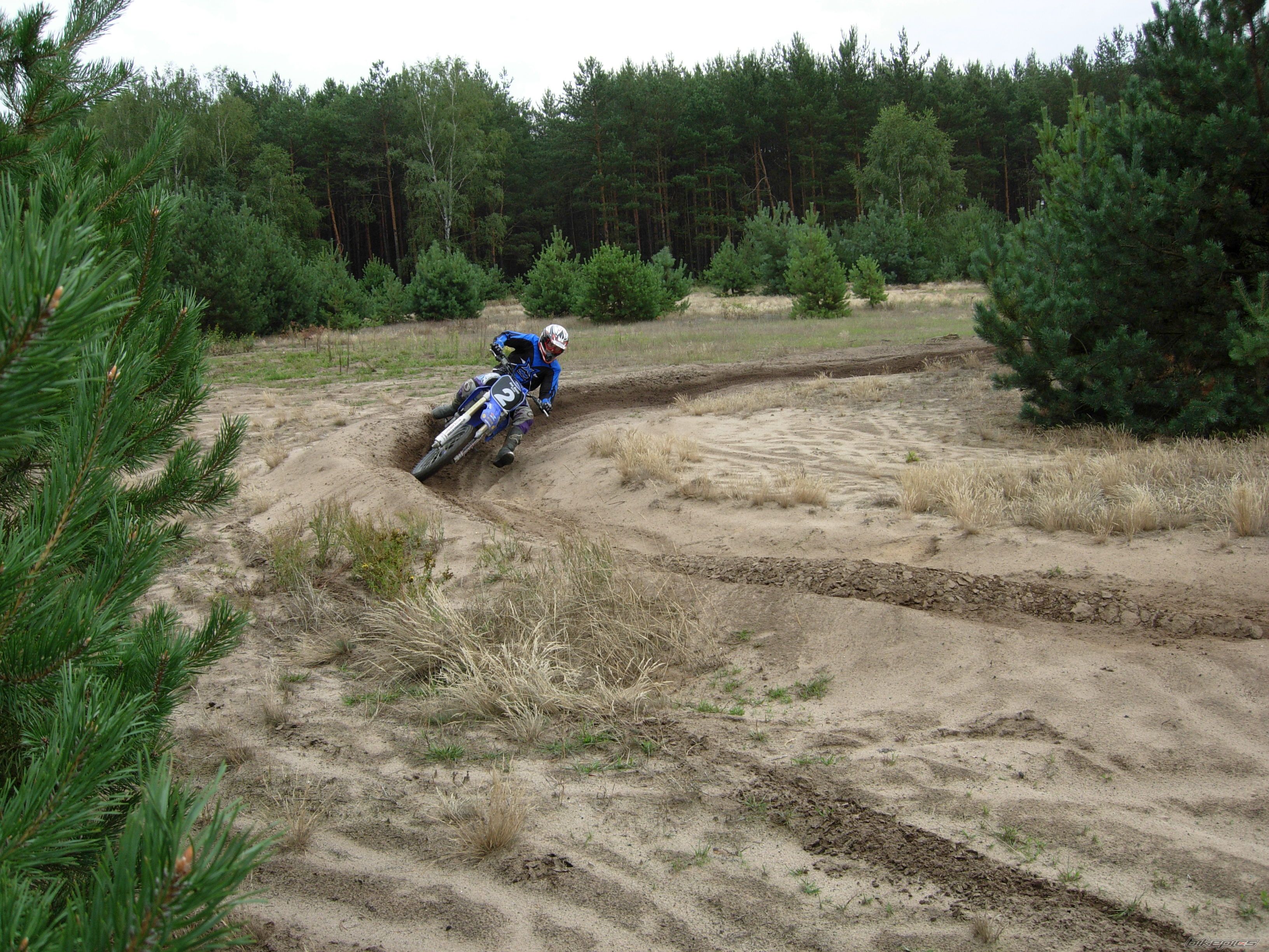 2005 YAMAHA YZ 250F | Picture 655372 motorcycle photo