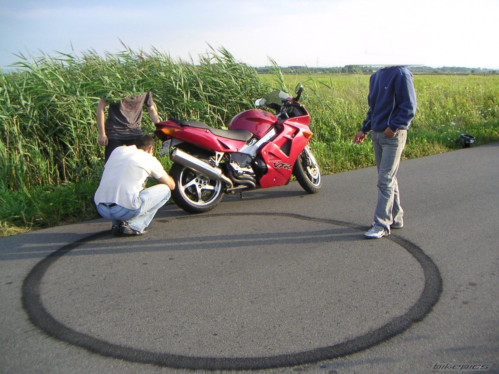 1998 HONDA VFR 800 | Picture 655459 motorcycle photo