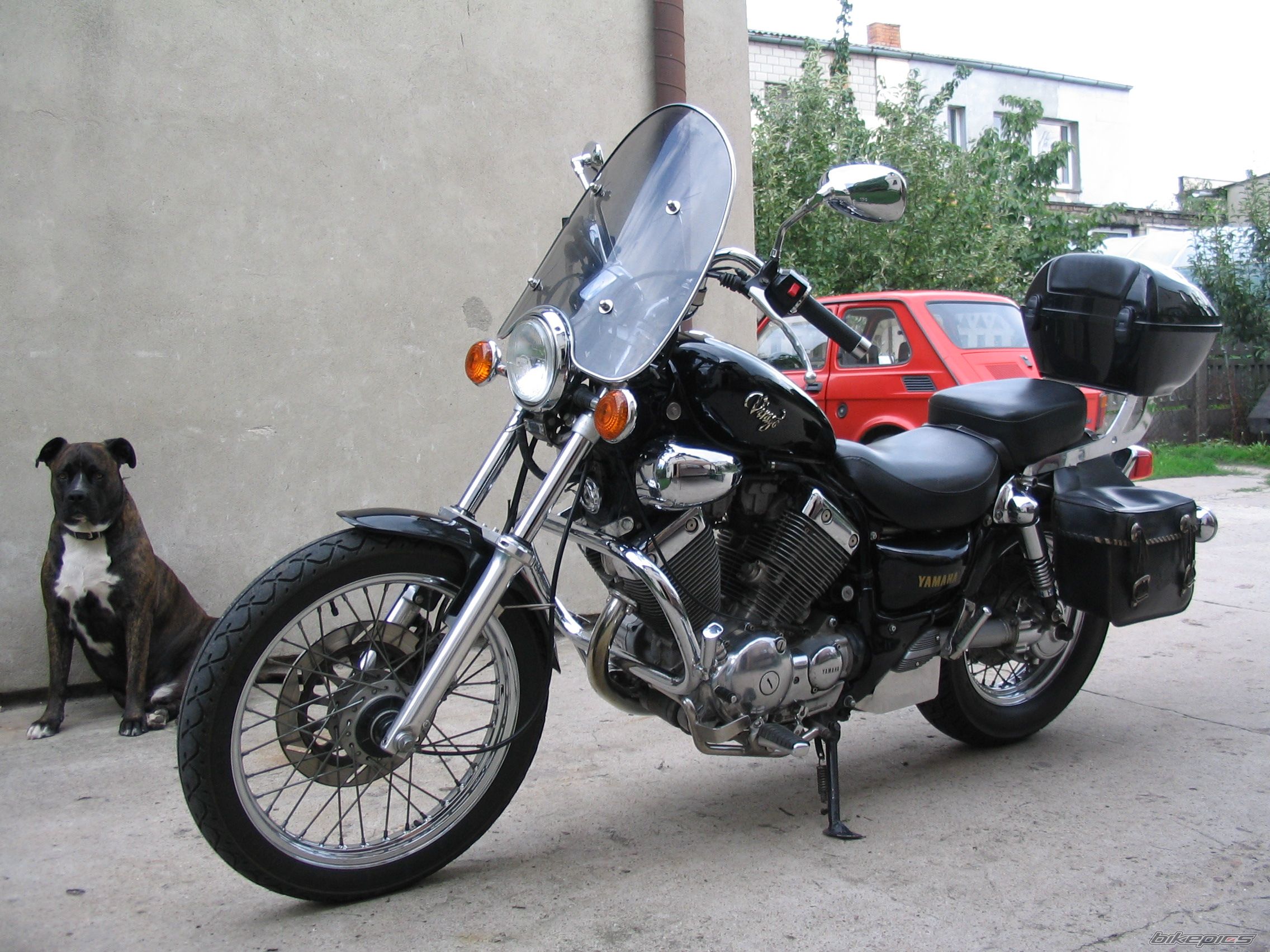 1994 YAMAHA VIRAGO 535 | Picture 656168 motorcycle photo