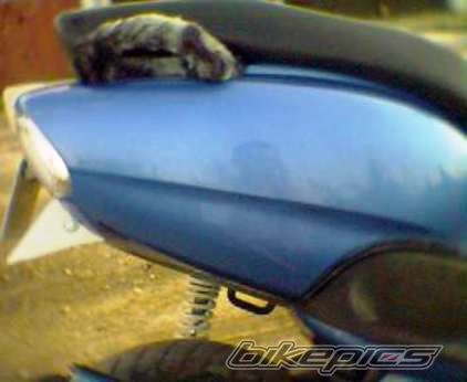 1997 YAMAHA NEOS | Picture 656231 motorcycle photo