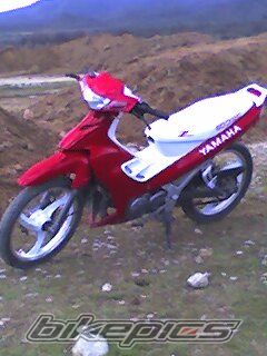 2006 YAMAHA Z 125 | Picture 656262 motorcycle photo
