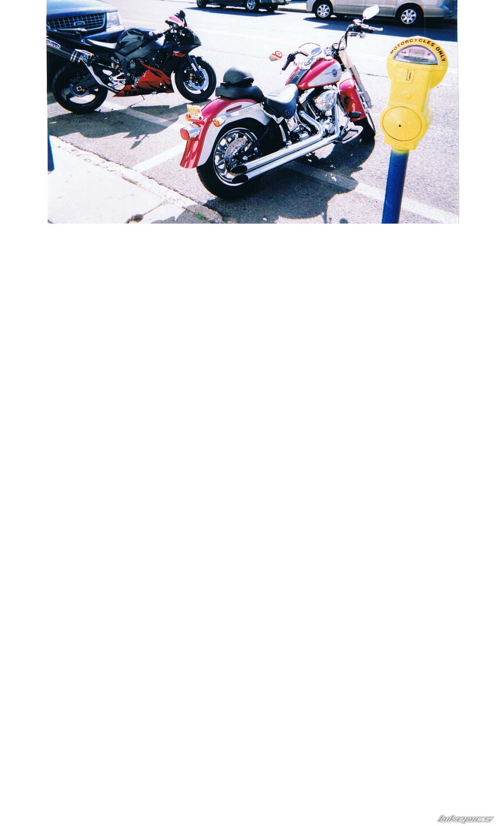 2004 HARLEY DAVIDSON FLSTF | Picture 656588 motorcycle photo