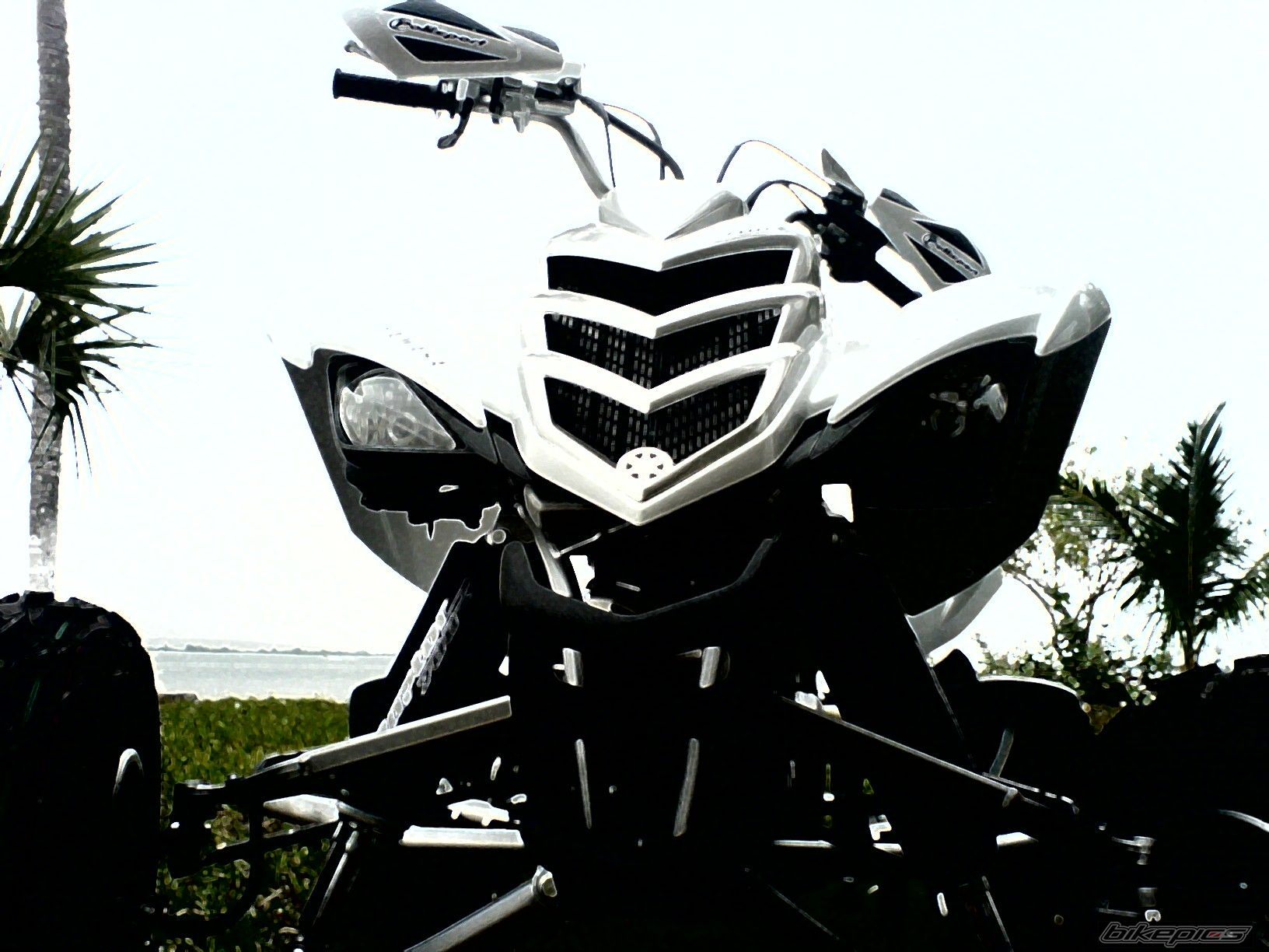 2006 YAMAHA YFM700R | Picture 656622 motorcycle photo