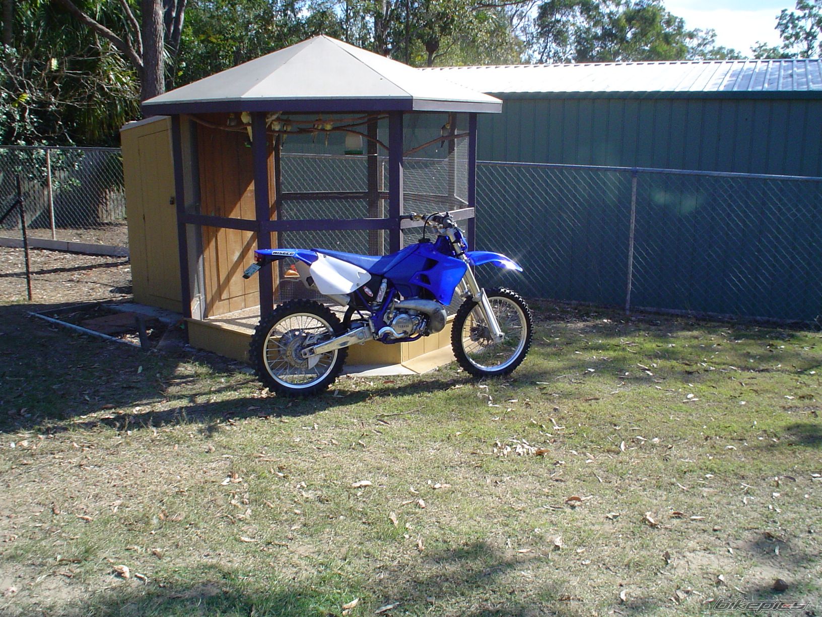 1997 YAMAHA WR 250 | Picture 657447 motorcycle photo