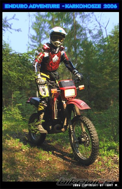 1987 YAMAHA DT 125 | Picture 657525 motorcycle photo