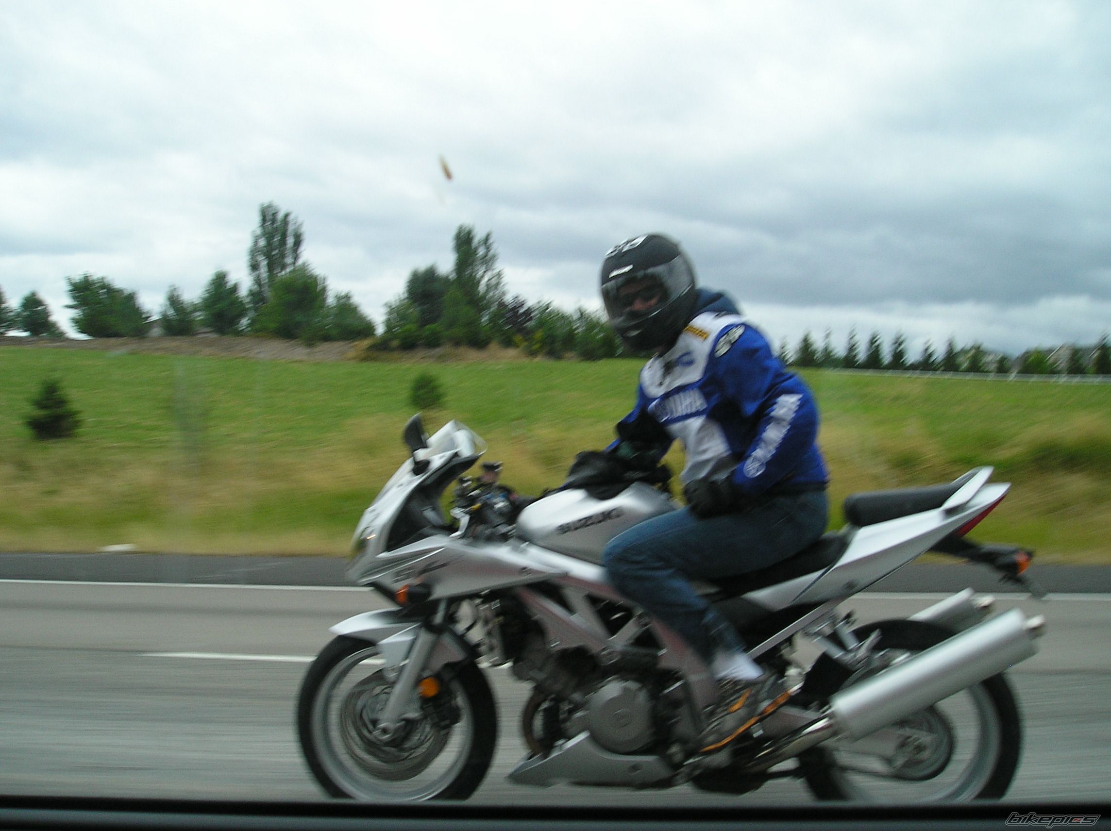 2003 SUZUKI SV 1000 S | Picture 658046 motorcycle photo