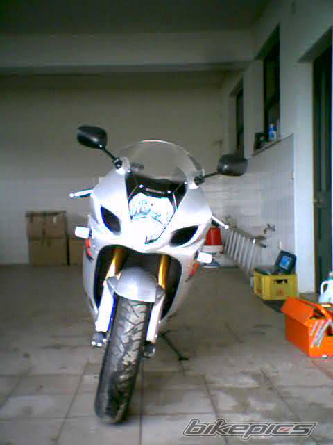 2003 SUZUKI GSX R 1000 | Picture 65854 motorcycle photo
