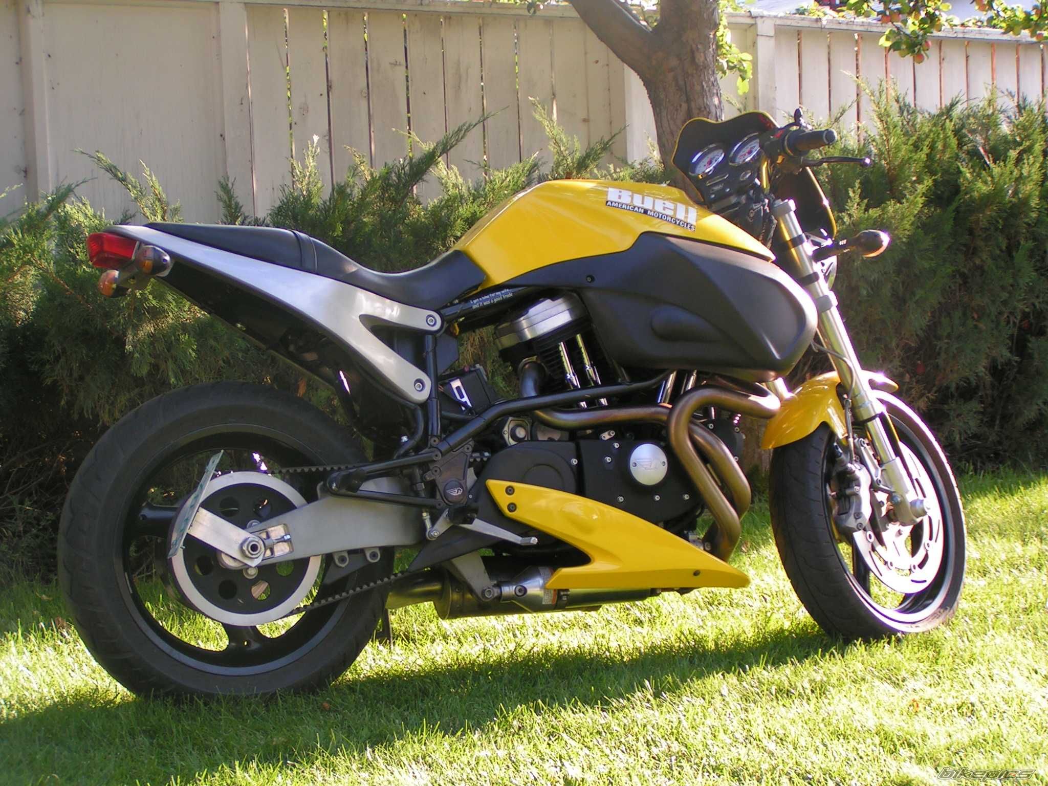 2000 BUELL X1 | Picture 658772 motorcycle photo