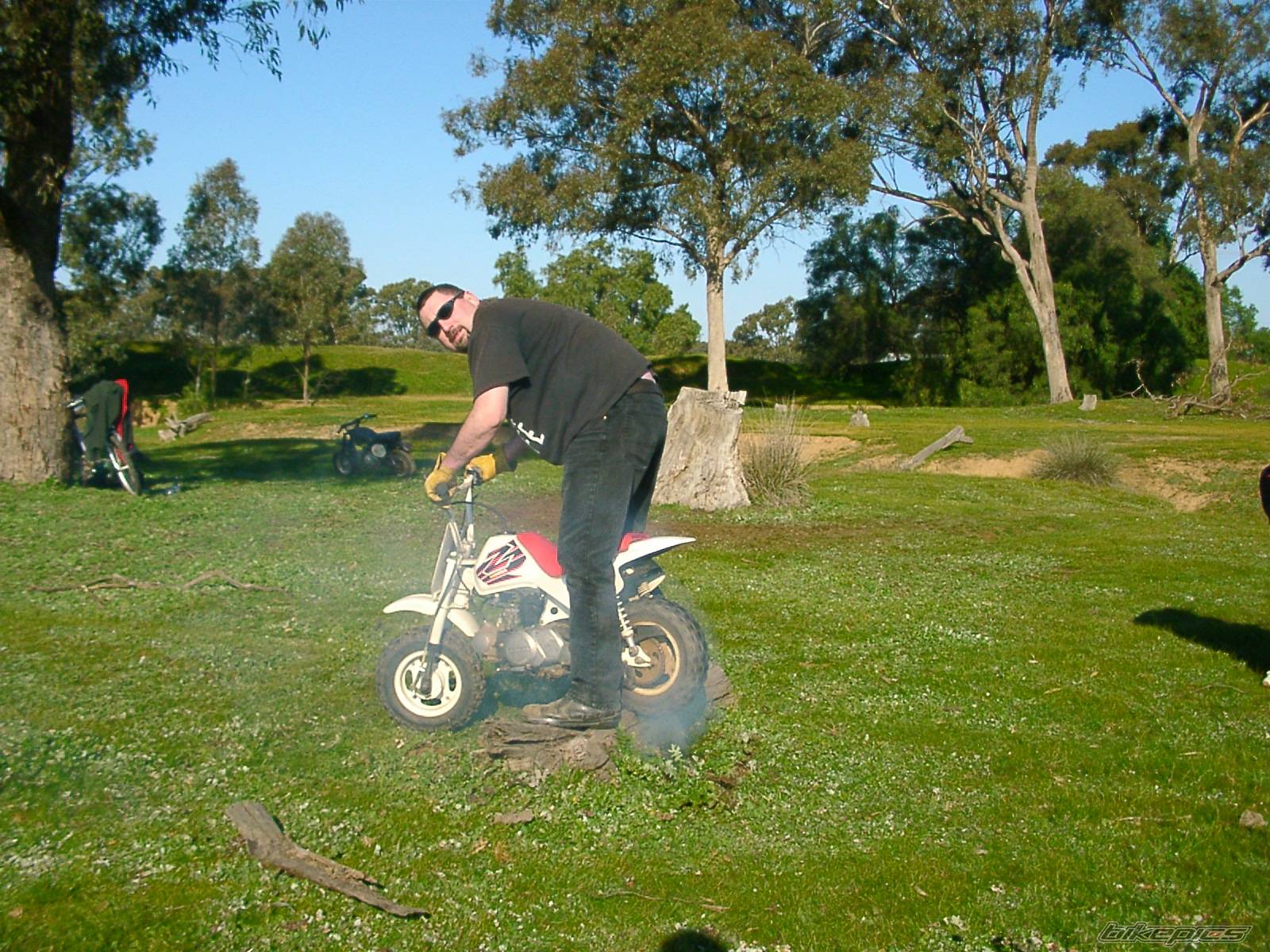 1999 HONDA Z 50 | Picture 65884 motorcycle photo