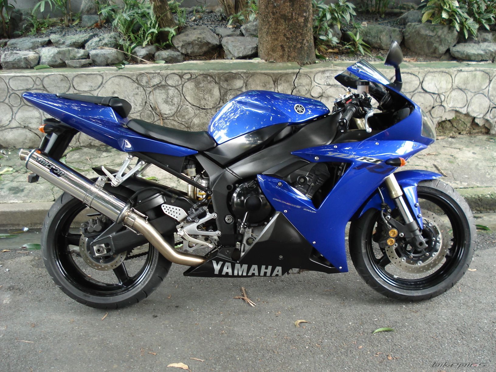 2002 YAMAHA YZF R1 | Picture 659176 motorcycle photo