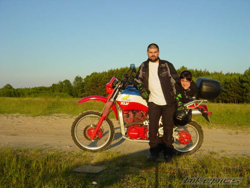 1985 HONDA XLV 750 | Picture 659382 motorcycle photo