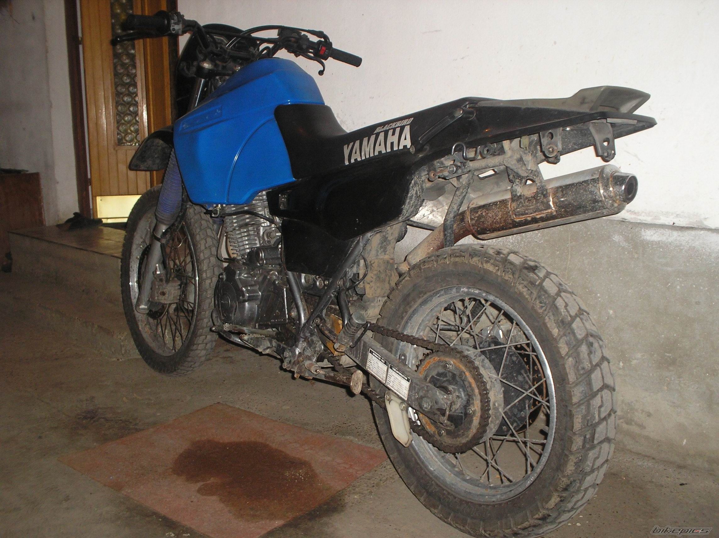 1992 YAMAHA XT 600 | Picture 659536 motorcycle photo