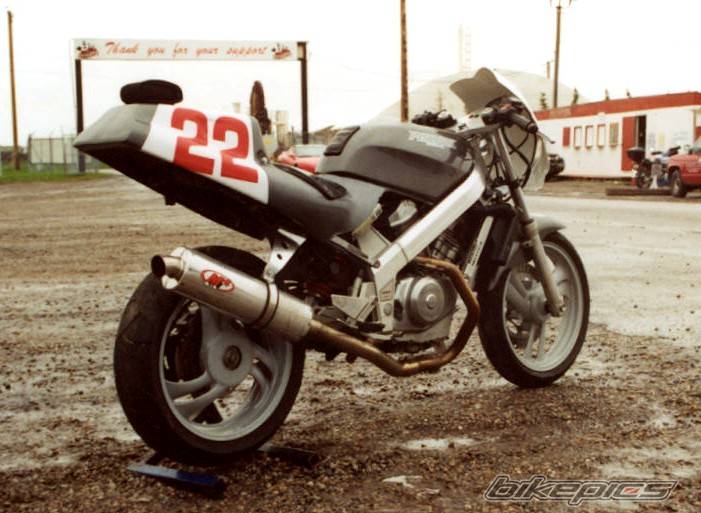 1988 HONDA NT 650 | Picture 65986 motorcycle photo