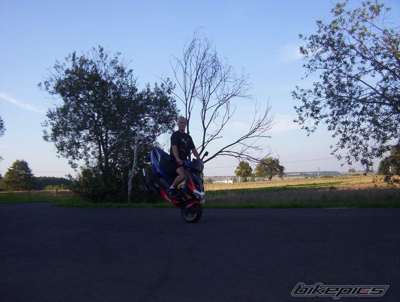 1995 KAWASAKI KMX 125 | Picture 660054 motorcycle photo