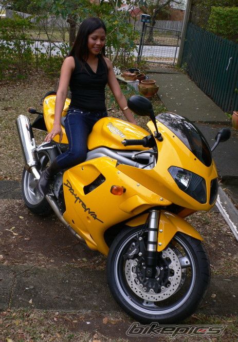 2004 TRIUMPH DAYTONA 955I | Picture 660467 motorcycle photo