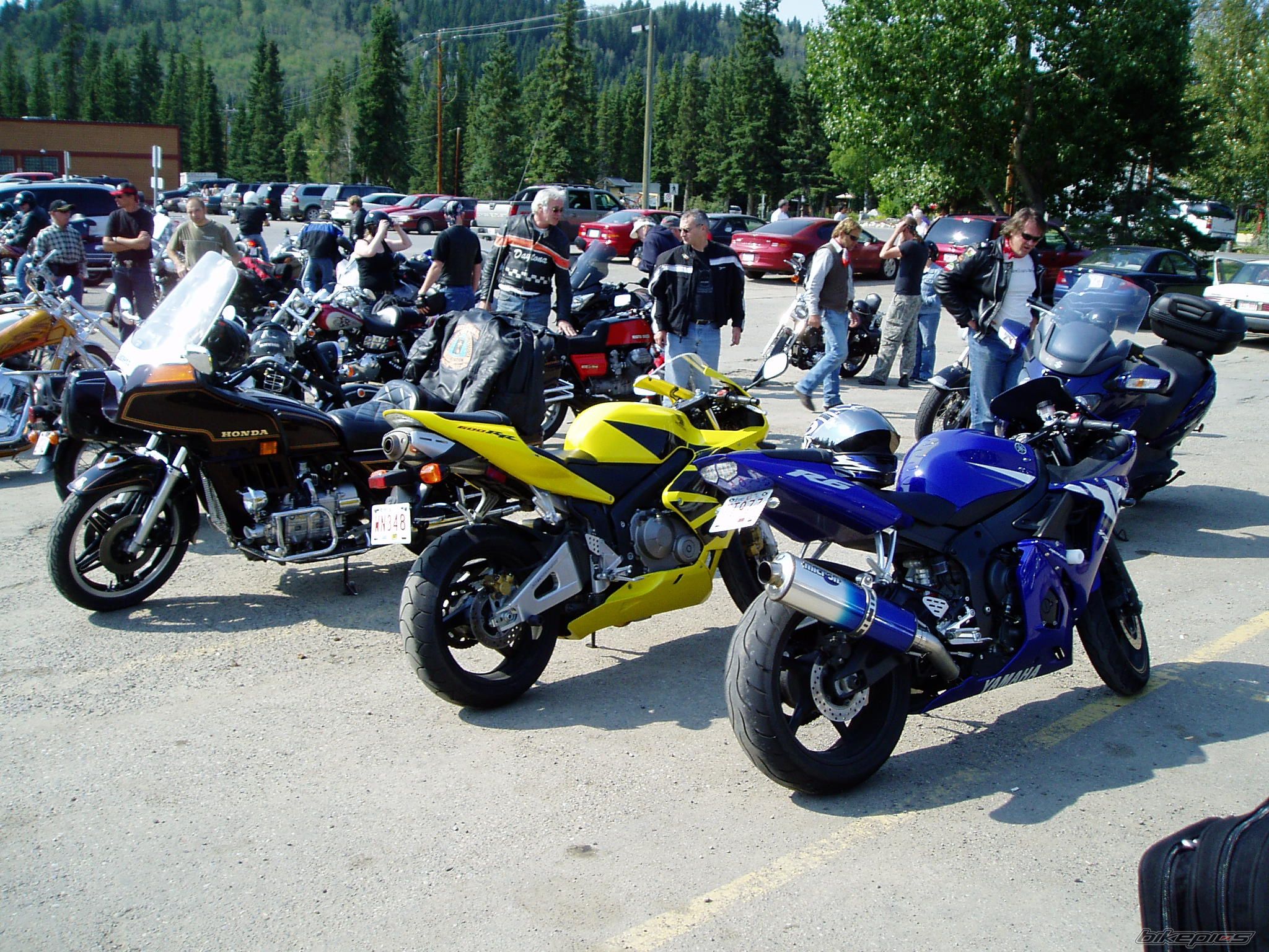 2003 YAMAHA YZF R6 | Picture 661133 motorcycle photo