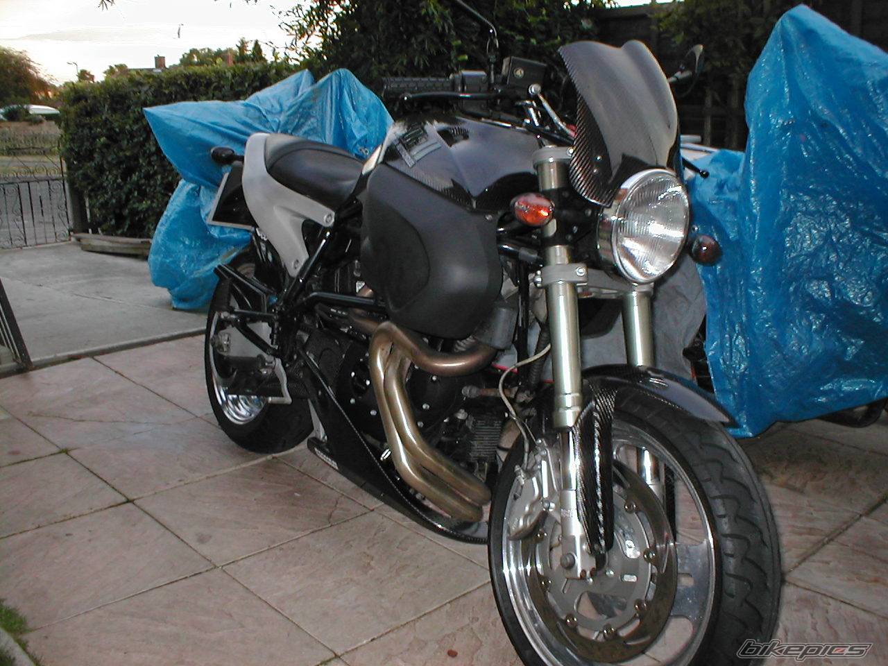 2001 BUELL X1 | Picture 66193 motorcycle photo