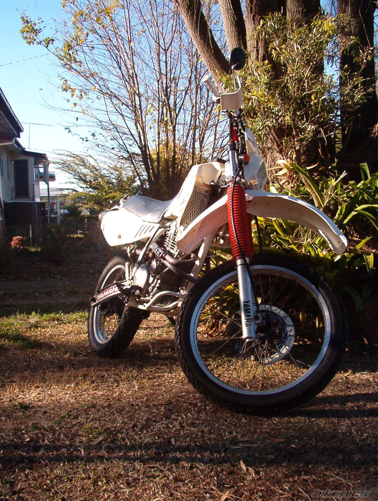 1994 YAMAHA TTR 350 | Picture 661934 motorcycle photo
