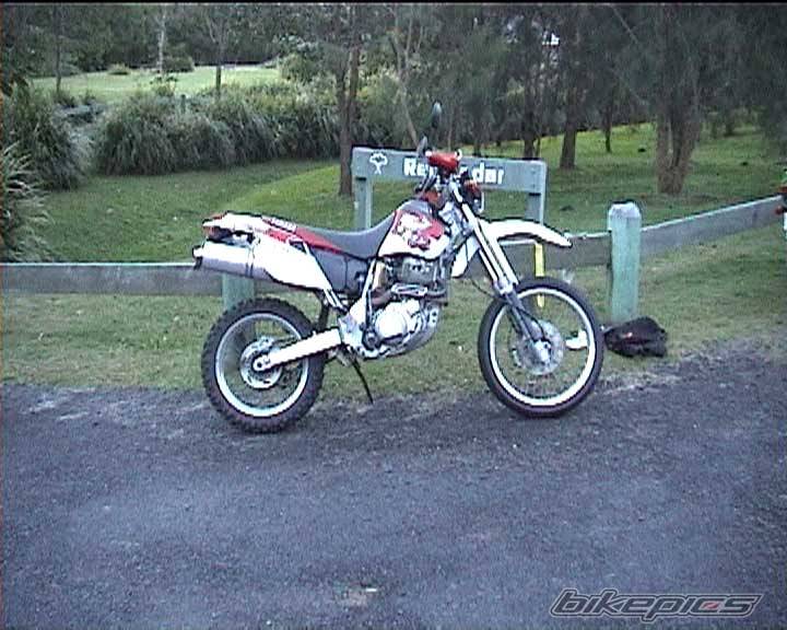 1998 YAMAHA TTR 600 | Picture 662 motorcycle photo