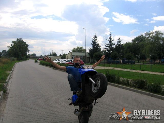 2003 TGB ORION 101 S | Picture 662280 motorcycle photo