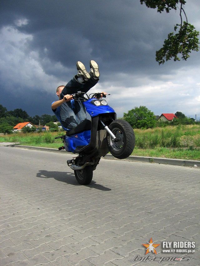 2003 TGB ORION 101 S | Picture 662281 motorcycle photo