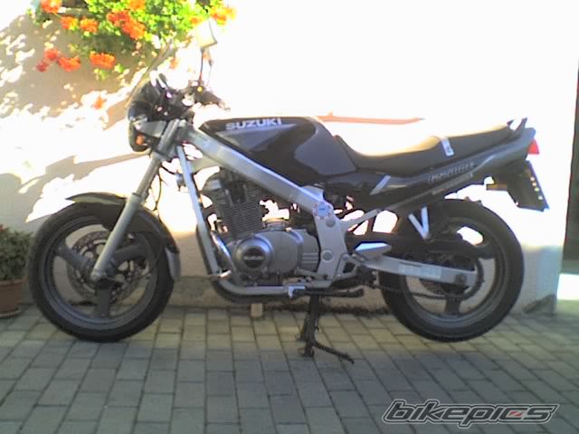 1999 SUZUKI GS 500 | Picture 662297 motorcycle photo