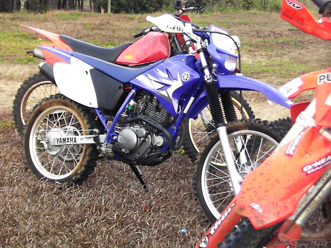 2005 YAMAHA TT R 230 | Picture 662461 motorcycle photo
