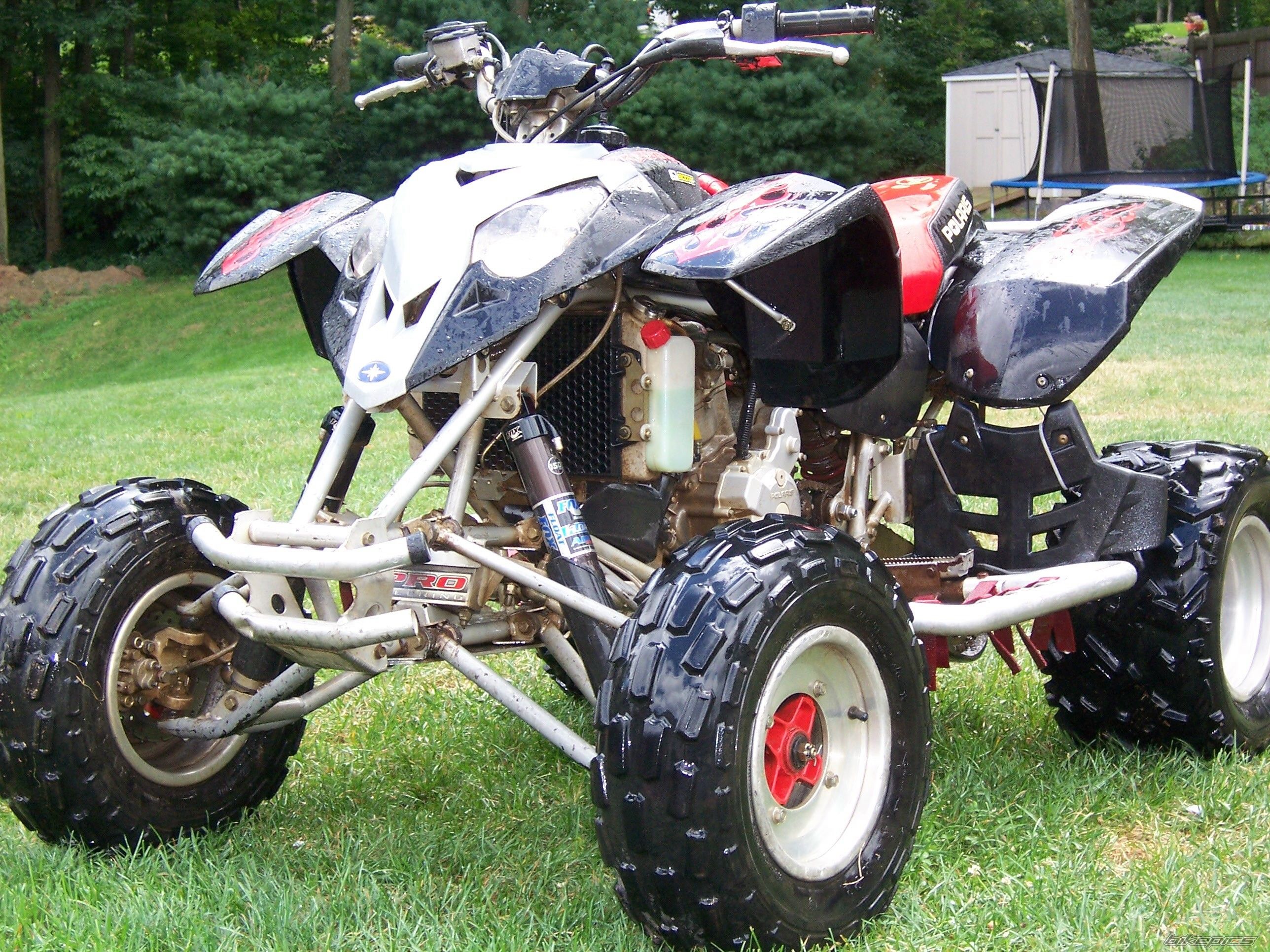 2003 POLARIS PREDATOR 500 | Picture 662988 motorcycle photo
