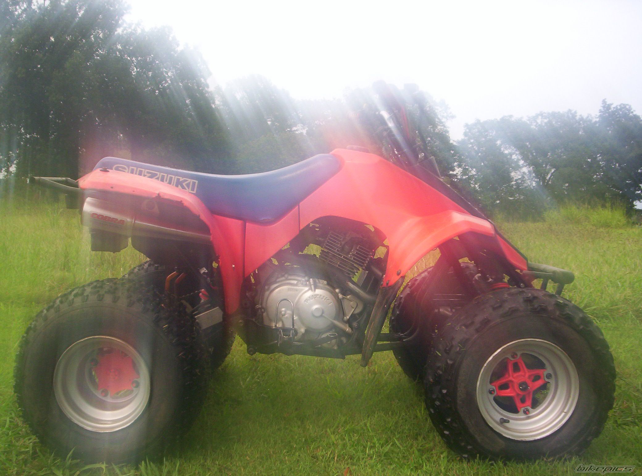 1987 SUZUKI LT 230 | Picture 663319 motorcycle photo