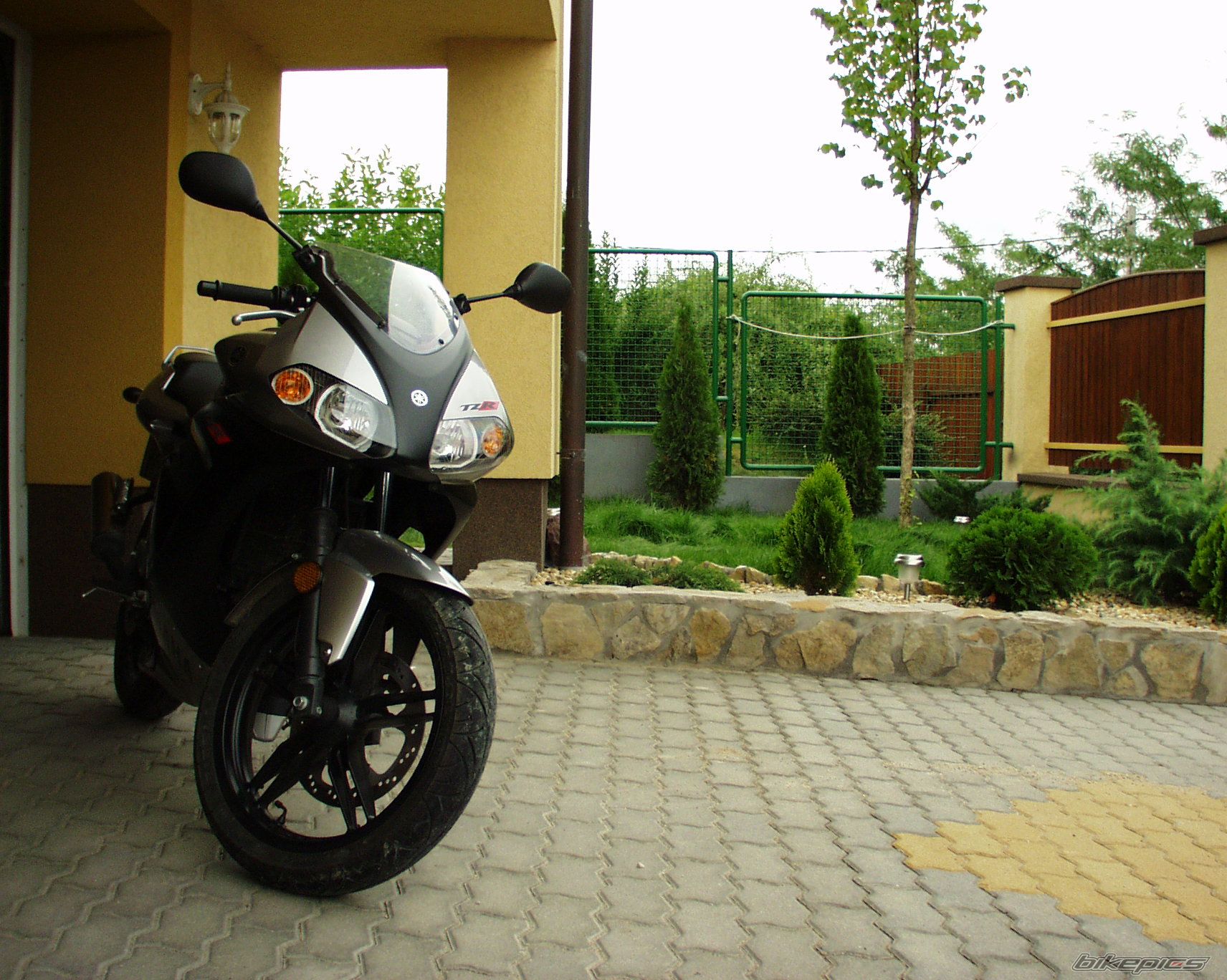 2004 YAMAHA TZR 50 | Picture 663540 motorcycle photo