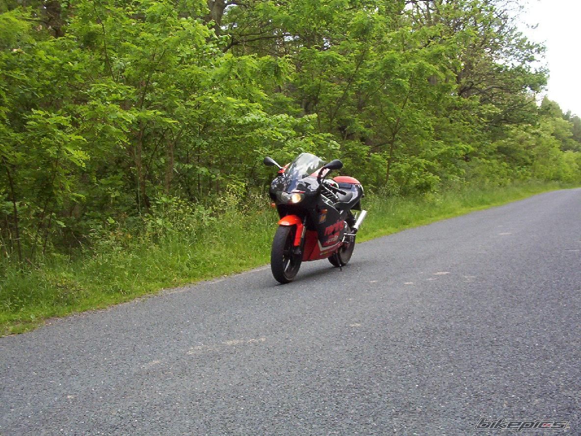 2000 APRILIA RS 125 | Picture 663927 motorcycle photo
