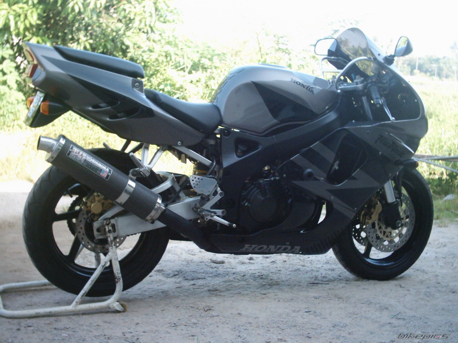 1995 HONDA CBR 900 | Picture 664130 motorcycle photo