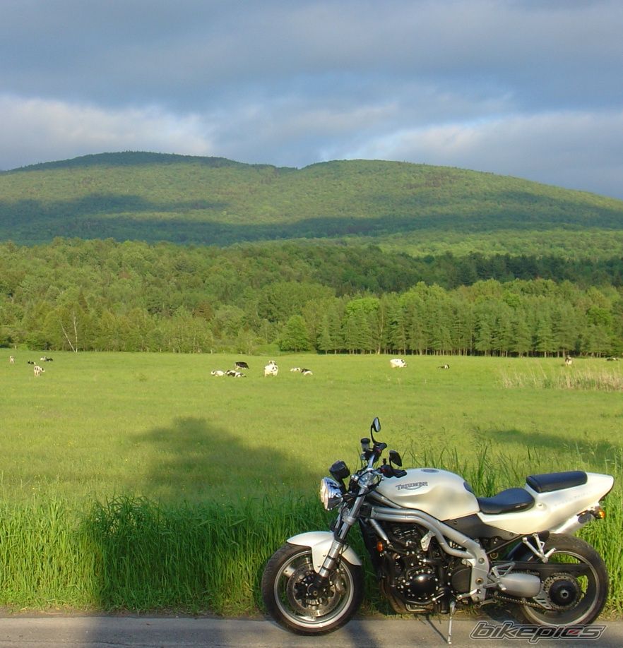 2002 TRIUMPH SPEED TRIPLE | Picture 664611 motorcycle photo