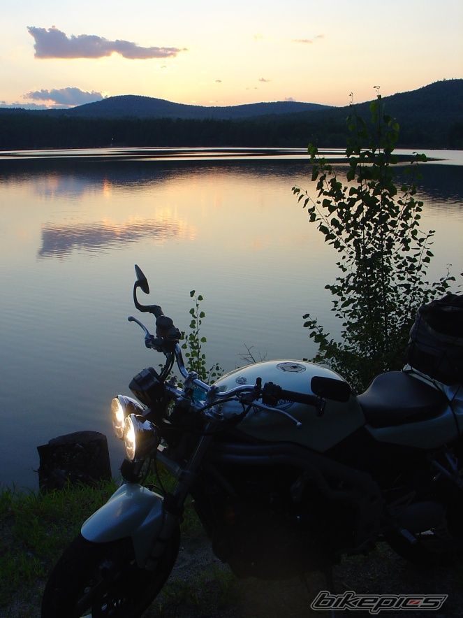 2002 TRIUMPH SPEED TRIPLE | Picture 664615 motorcycle photo