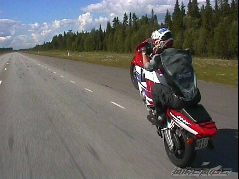 1994 HONDA CBR 600 | Picture 6648 motorcycle photo
