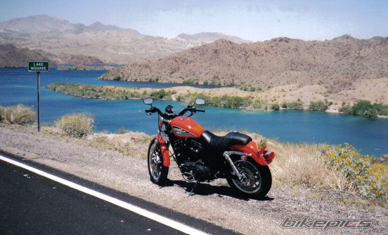    | Picture 664870 motorcycle photo