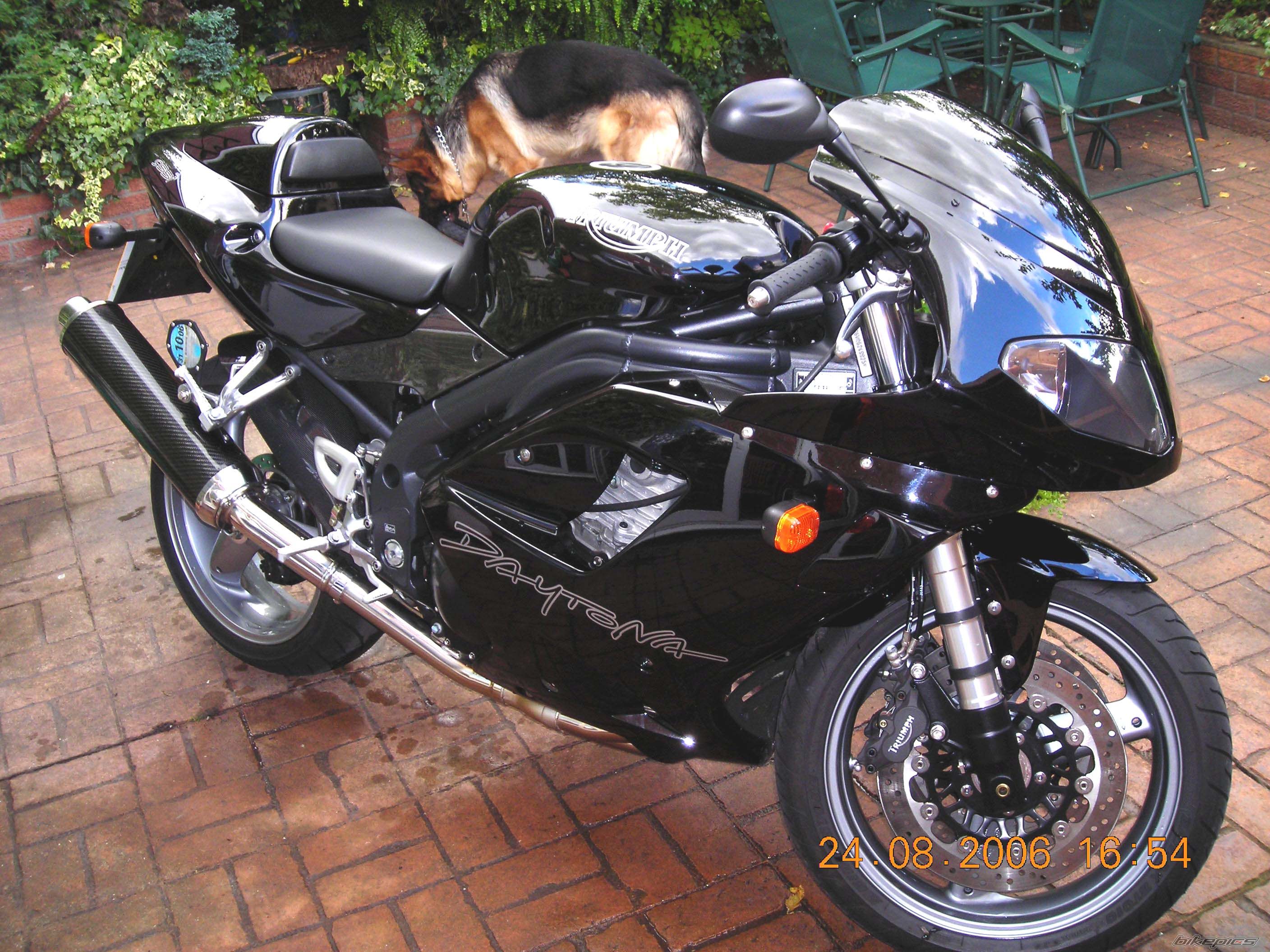 2006 TRIUMPH DAYTONA 955 | Picture 664926 motorcycle photo