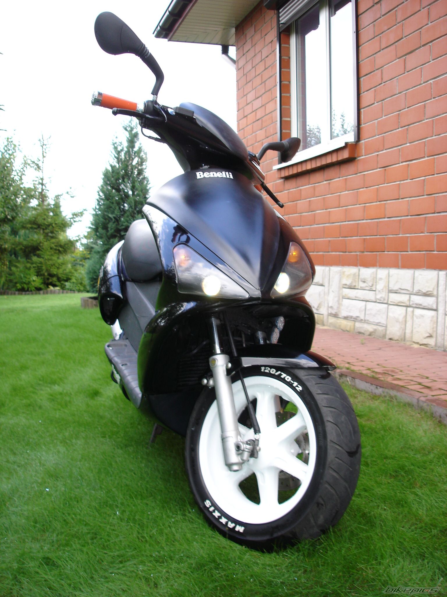 2003 BENELLI 491 | Picture 664995 motorcycle photo
