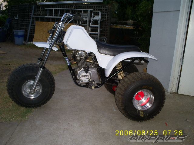 1983 HONDA ATC 185 | Picture 665262 motorcycle photo