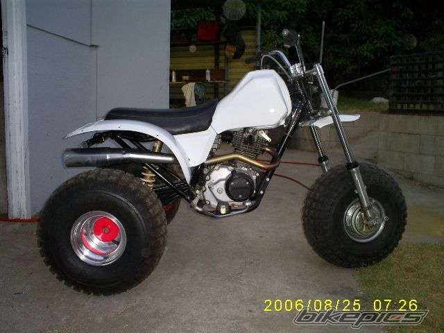 1983 HONDA ATC 185 | Picture 665263 motorcycle photo
