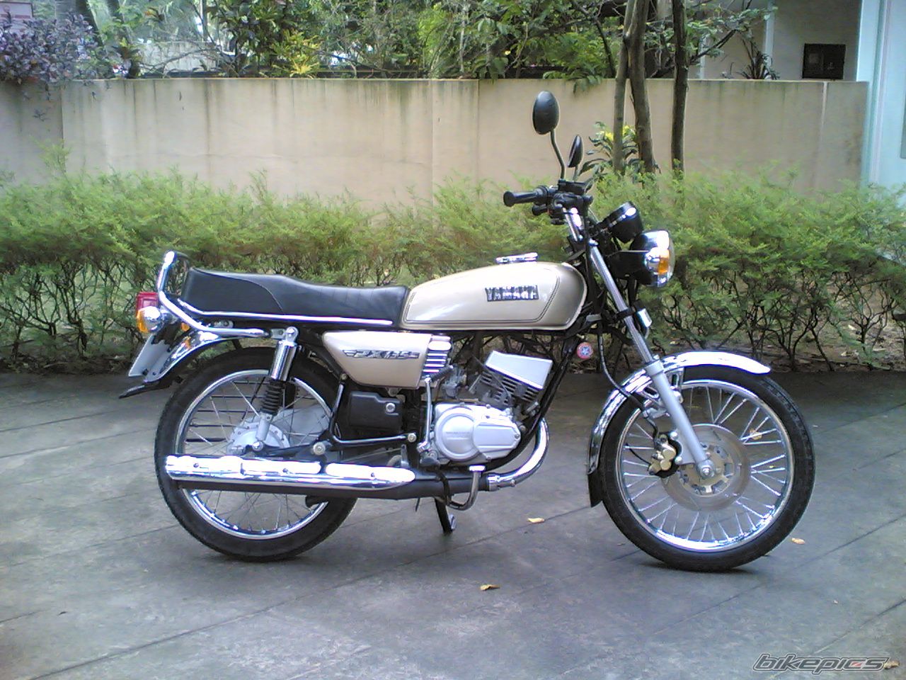 2005 YAMAHA RX 135 | Picture 665514 motorcycle photo