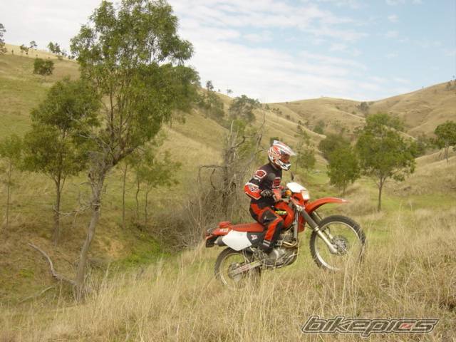 2003 HONDA XR 250 | Picture 66553 motorcycle photo